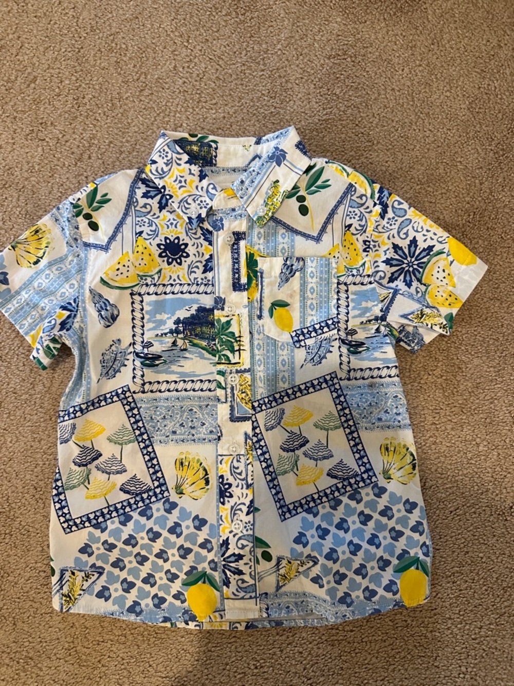 J. Crew White, Blue & Yellow Lemon Patch Button-Down Kids Shirt